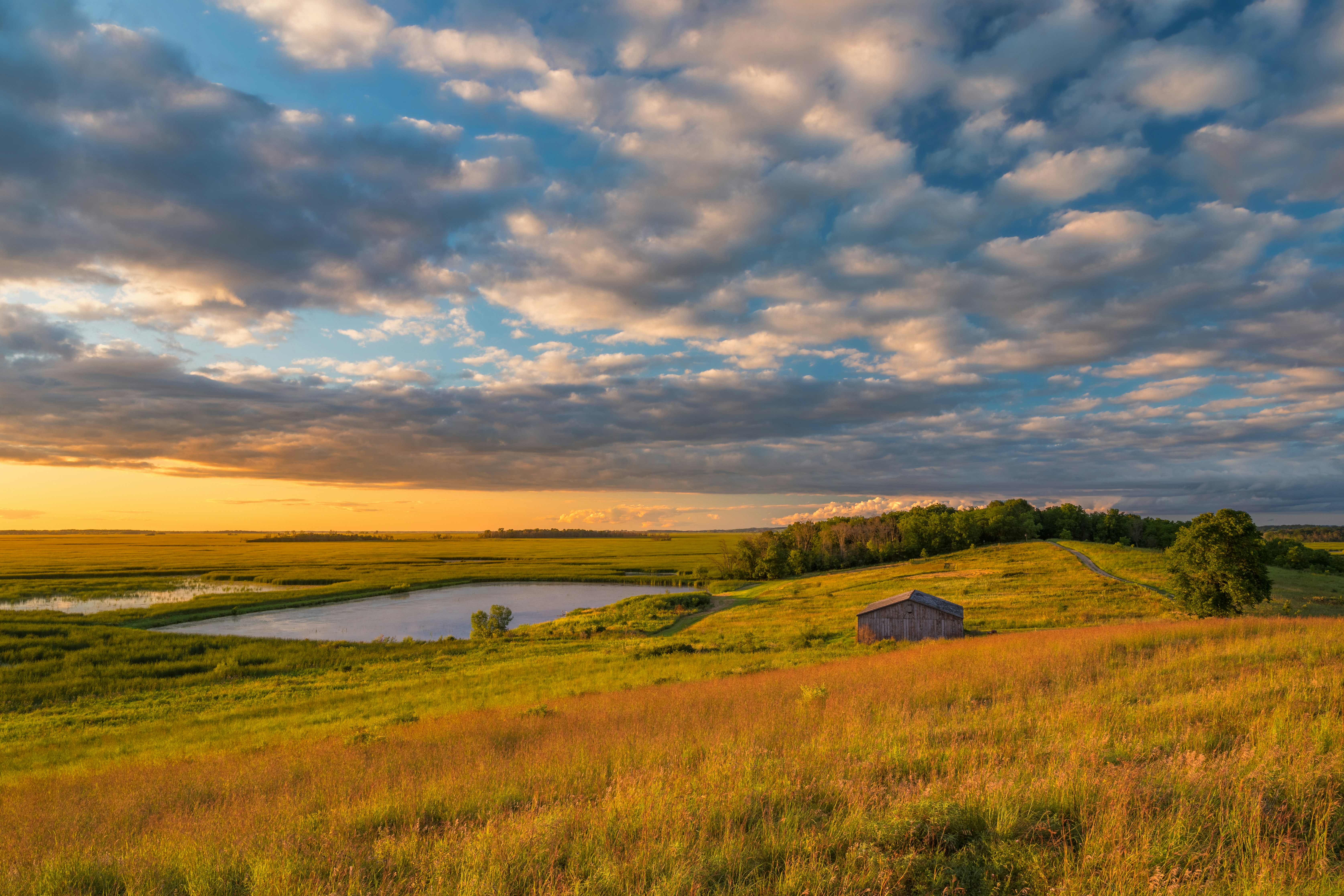 Midwest Regional Forum - Empowering the Nurse Voice in Climate and Environmental Health Advocacy